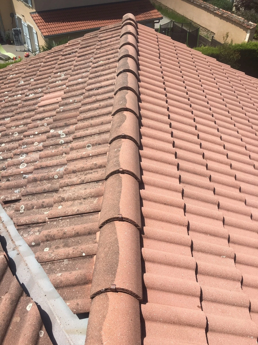 démoussage de toiture beaumarie