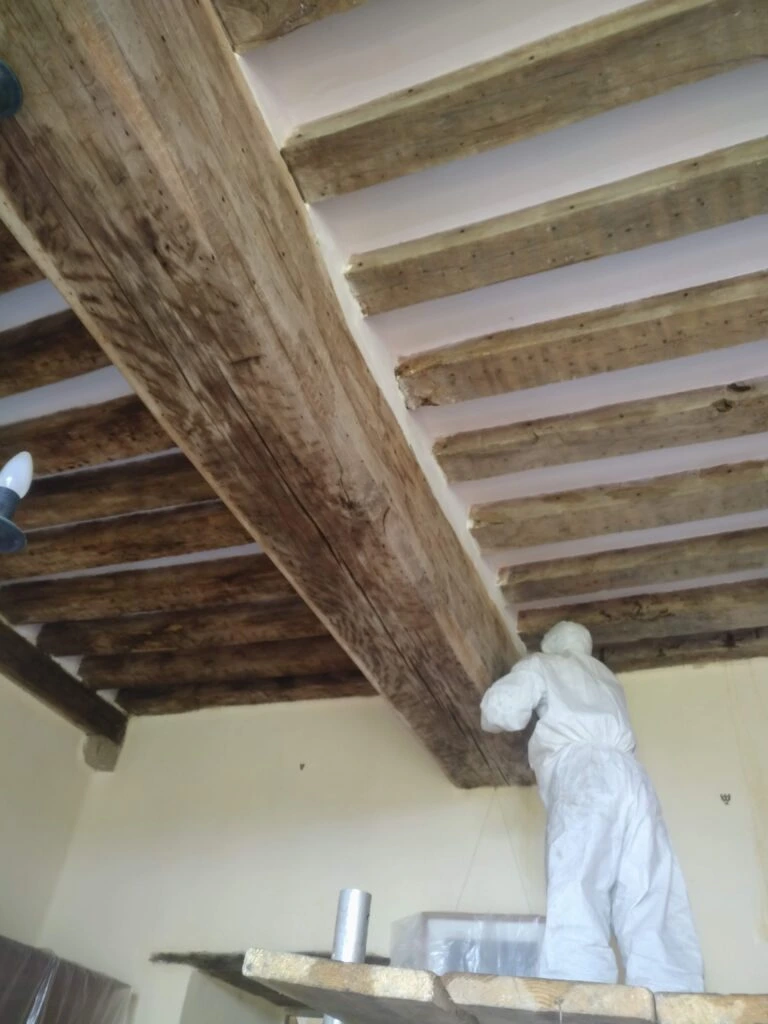 traitement de charpente beaumarie